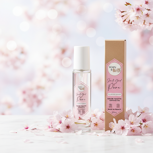 Image pub Fleurs de Cerisier